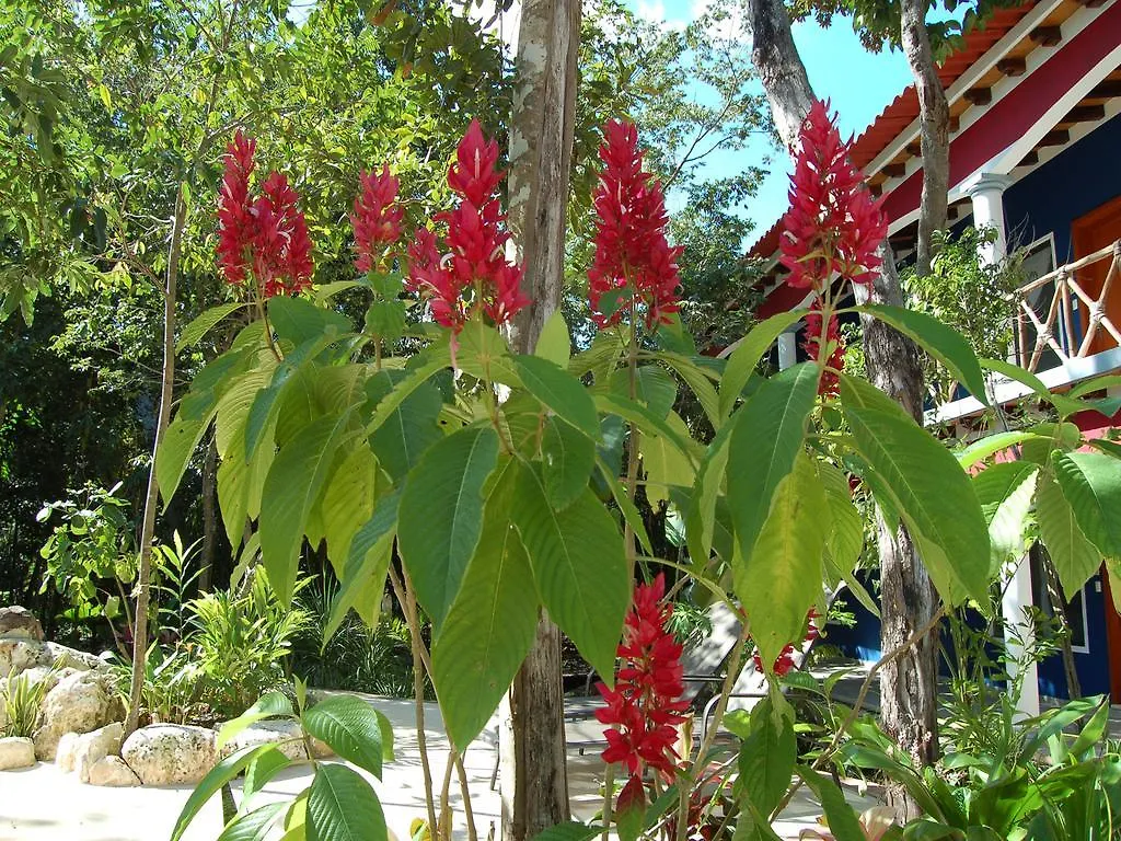 La Hacienda Cancun- El Ramonal, Monkey Sanctuary Mexico