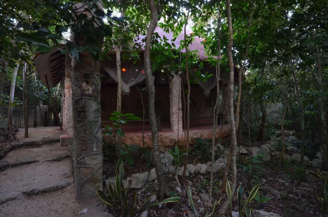 ***  La Hacienda Cancun- El Ramonal, Monkey Sanctuary 호텔 멕시코